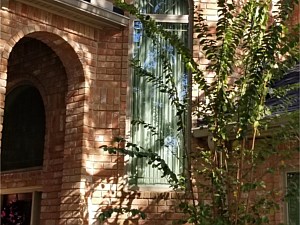 Residential Window, Conroe, TX